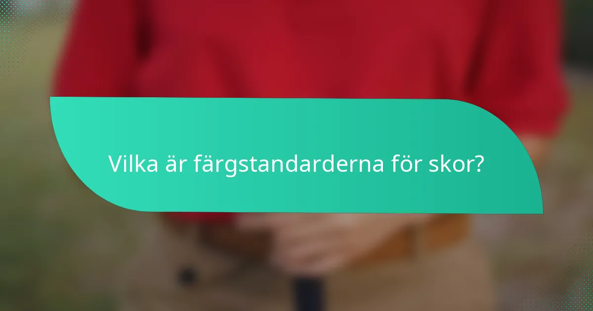 Vilka är färgstandarderna för skor?